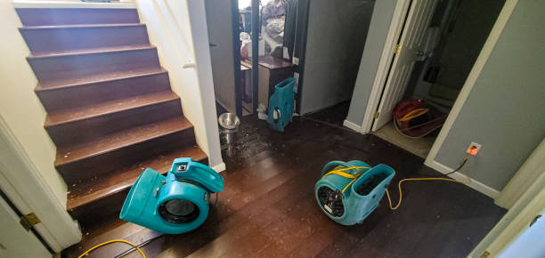 Best 24-hour water damage restoration  in Muenster, TX