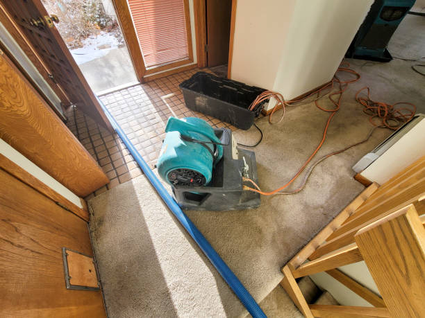 Best 24/7 water damage repair  in Muenster, TX