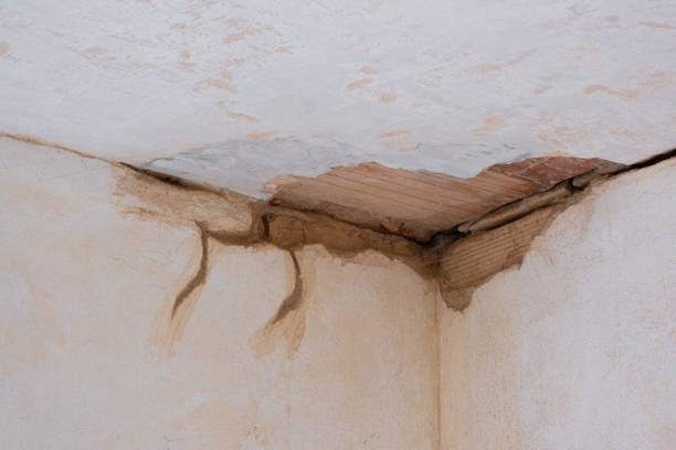 Best Fire Damage Restoration  in Muenster, TX
