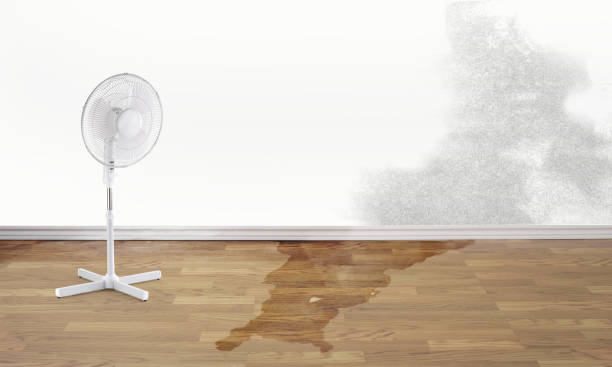 Best Water damage restoration near me  in Muenster, TX