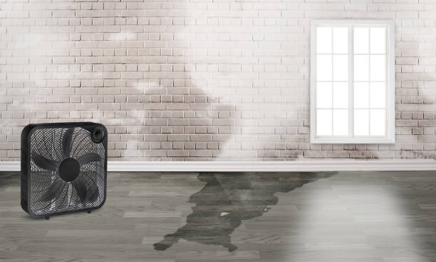 Best Emergency water damage restoration  in Muenster, TX