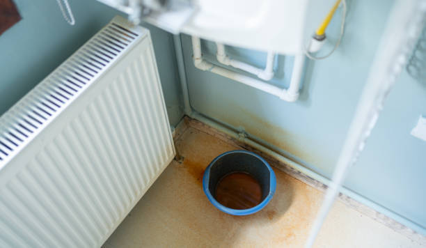 Best Local water damage restoration  in Muenster, TX