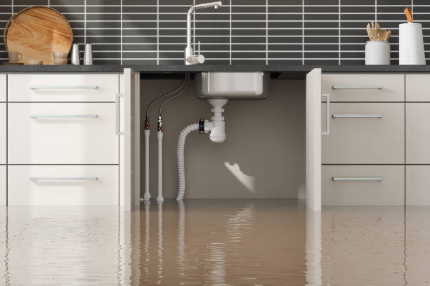 Best Flood restoration services  in Muenster, TX