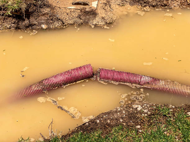 Best Water damage restoration near me  in Muenster, TX
